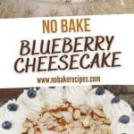 No Bake Blueberry Cheesecake PIN (1)