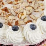 No Bake Blueberry Cheesecake PIN (2)