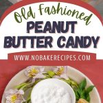Old Fashioned Peanut Butter Candy PIN (1)