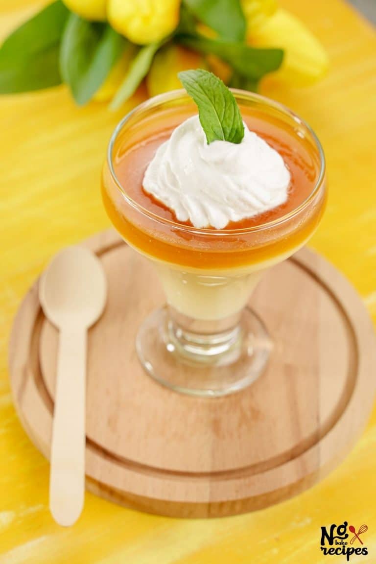 Decadent Creamy Vanilla Caramel Pudding NoBake Dessert Recipes