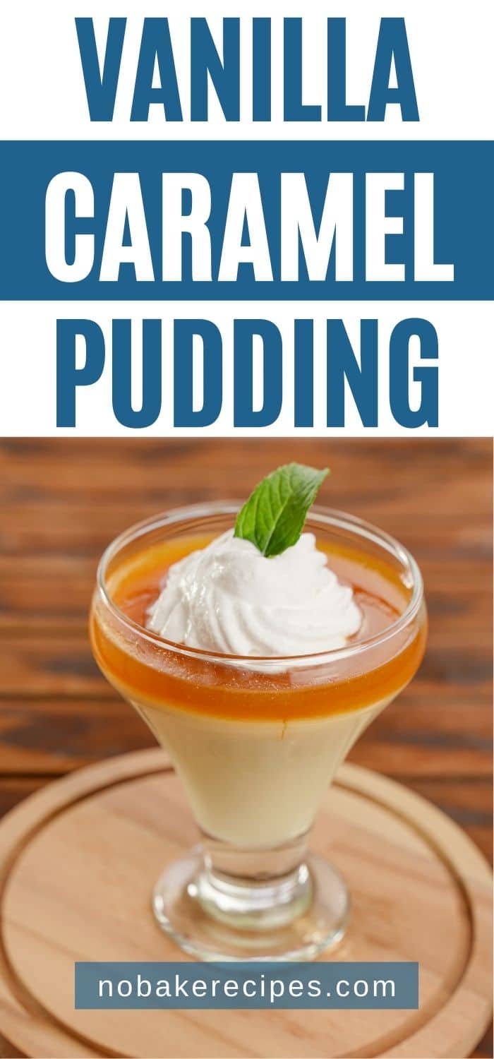 Decadent Creamy Vanilla Caramel Pudding NoBake Dessert Recipes