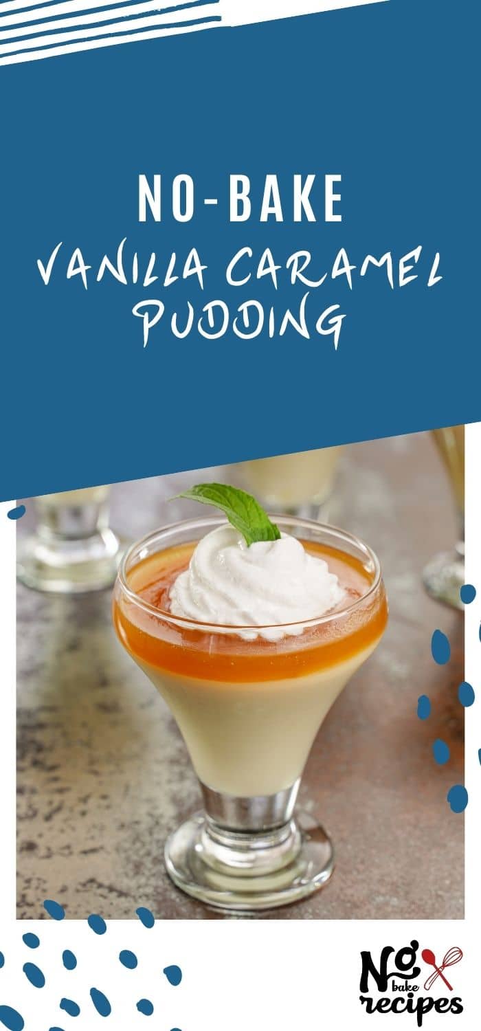 Decadent Creamy Vanilla Caramel Pudding NoBake Dessert Recipes