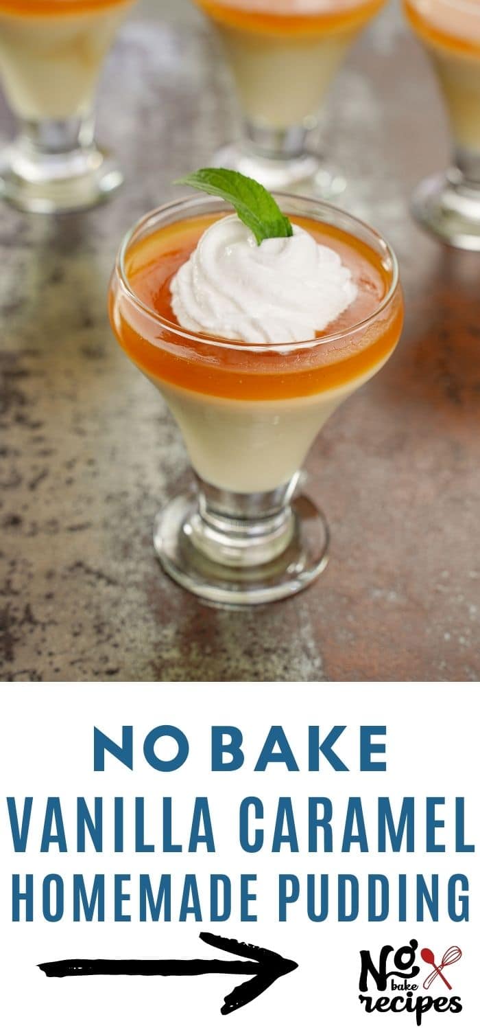 Decadent Creamy Vanilla Caramel Pudding NoBake Dessert Recipes