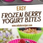 Frozen Berry Yogurt Bites PIN (1)