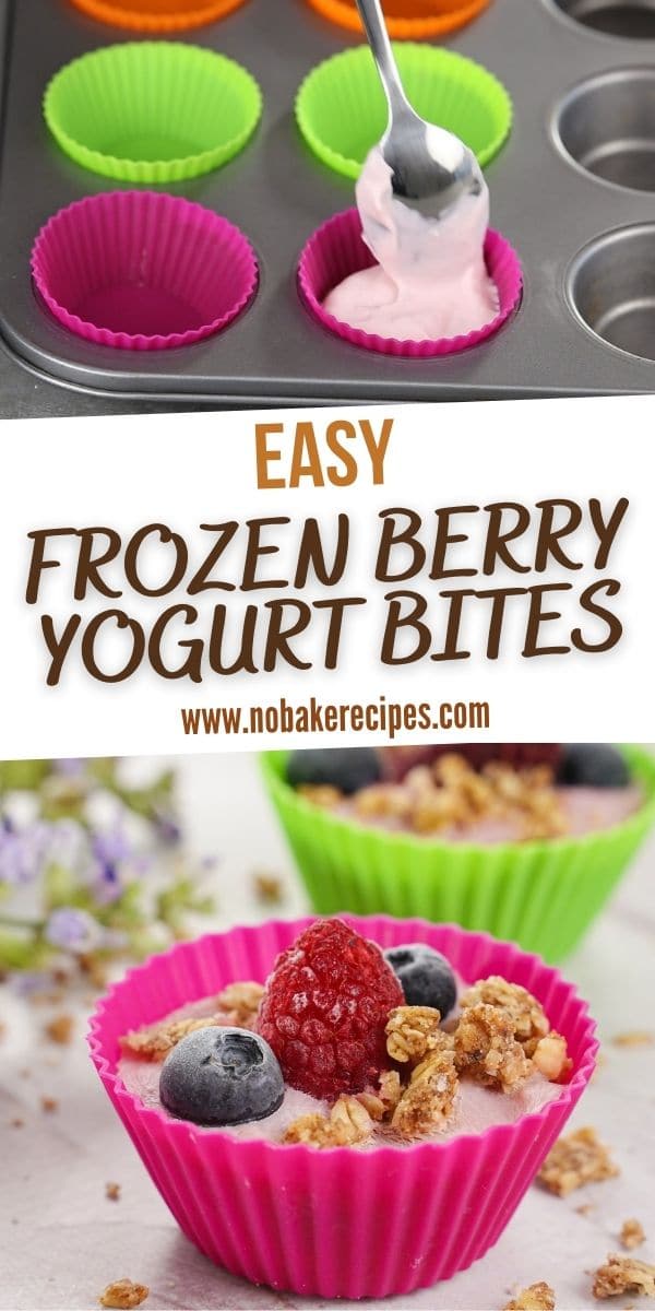 3Ingredient Frozen Yogurt Berry Bites NoBake Dessert Recipes