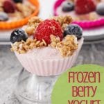 Frozen Berry Yogurt Bites PIN (2)