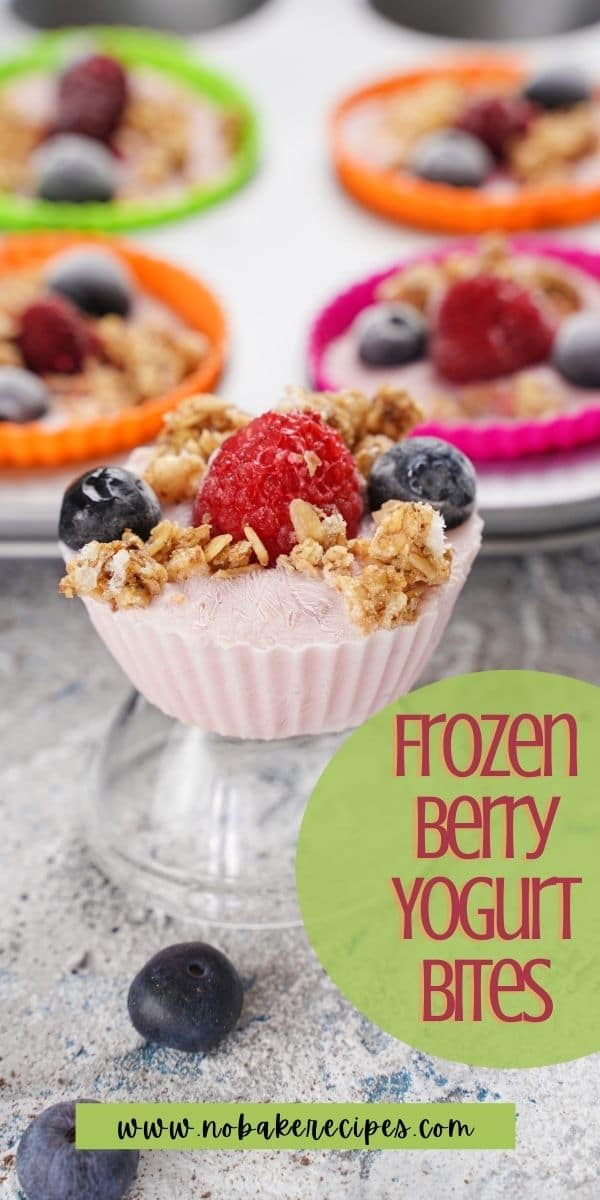 3Ingredient Frozen Yogurt Berry Bites NoBake Dessert Recipes