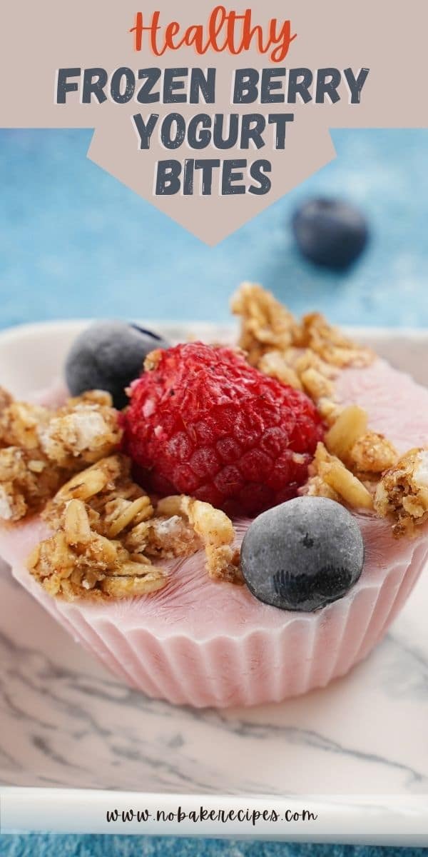 3-Ingredient Frozen Yogurt Berry Bites - No-Bake Dessert Recipes