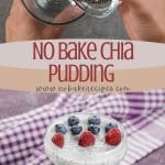 No Bake Chia Pudding PIN (1)