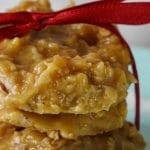 No Bake Peanut Butter Coconut Cookies PIN (1)