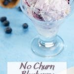 No Churn Blueberry Cheesecake Ice Cream PIN (2)