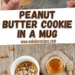 Peanut Butter Cookie in a Mug PIN (1)