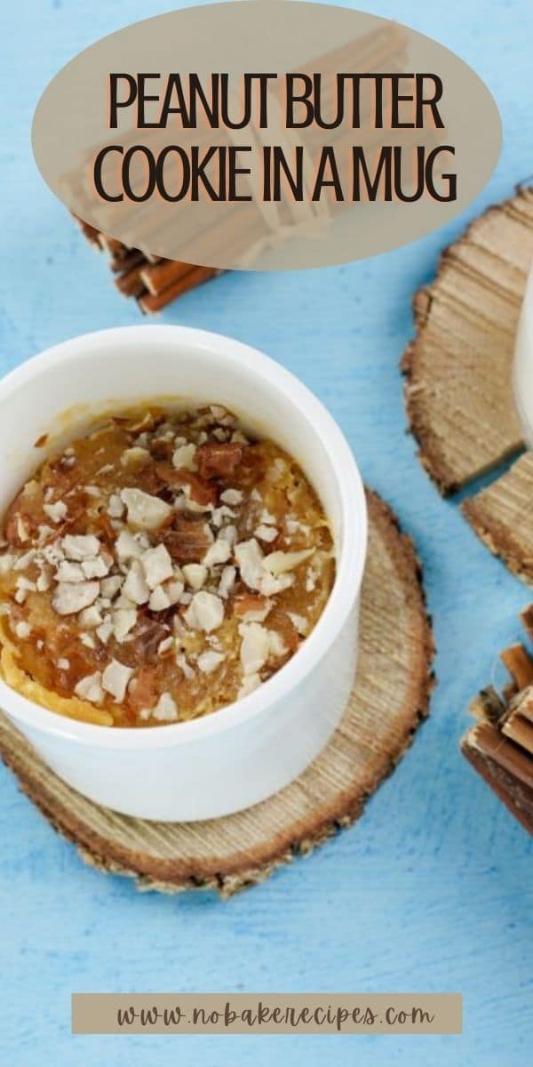 Peanut Butter Cookie in a Mug NoBake Dessert Recipes