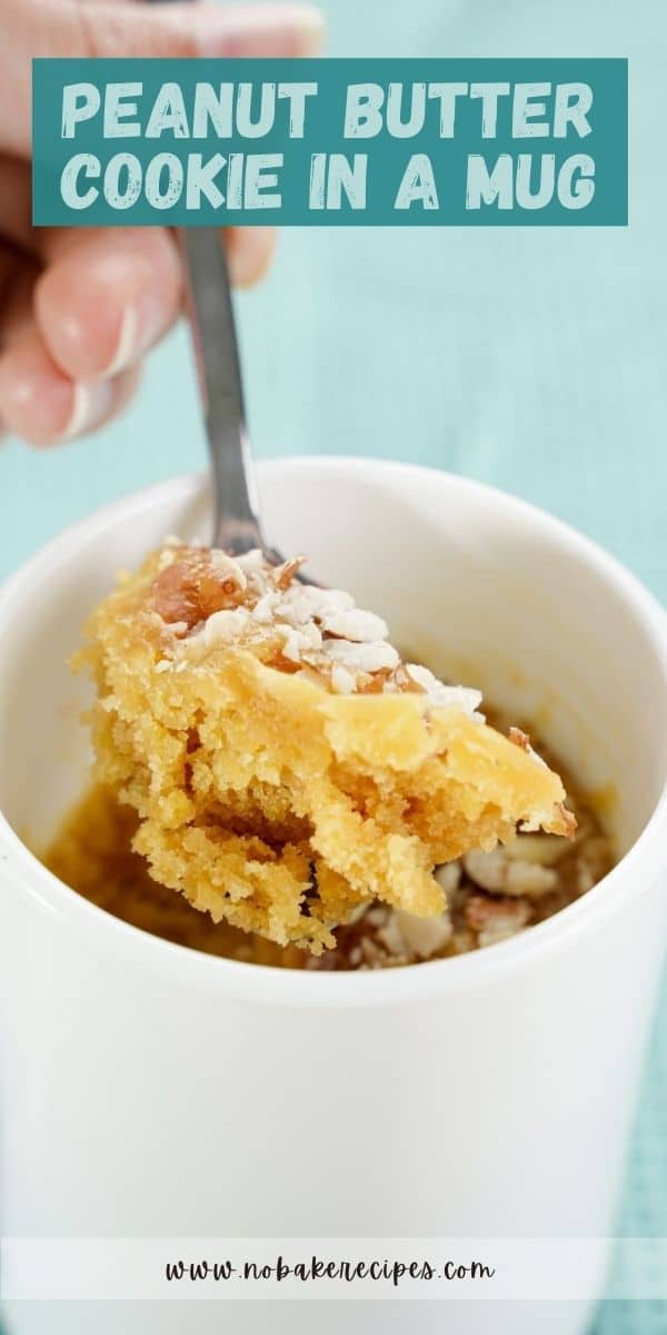 Peanut Butter Cookie in a Mug NoBake Dessert Recipes