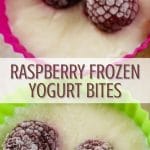 Raspberry Frozen Yogurt Bites PIN (1)