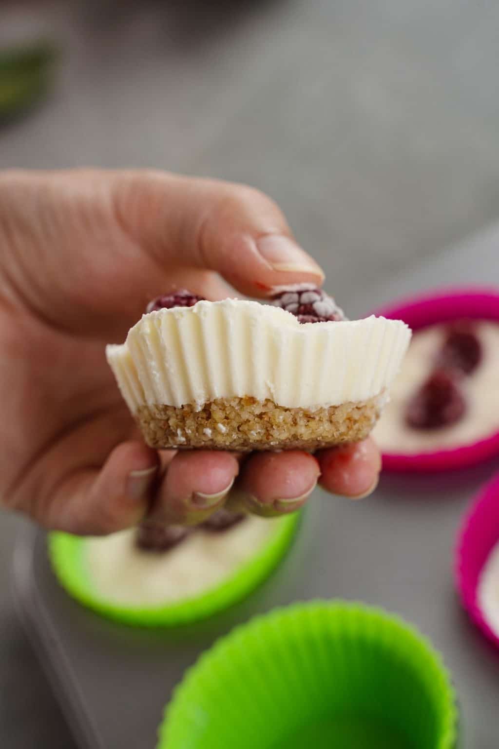 Raspberry Frozen Yogurt Bites NoBake Dessert Recipes