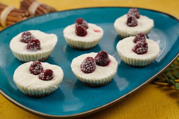 Raspberry Frozen Yogurt Bites No Bake Dessert Recipes 