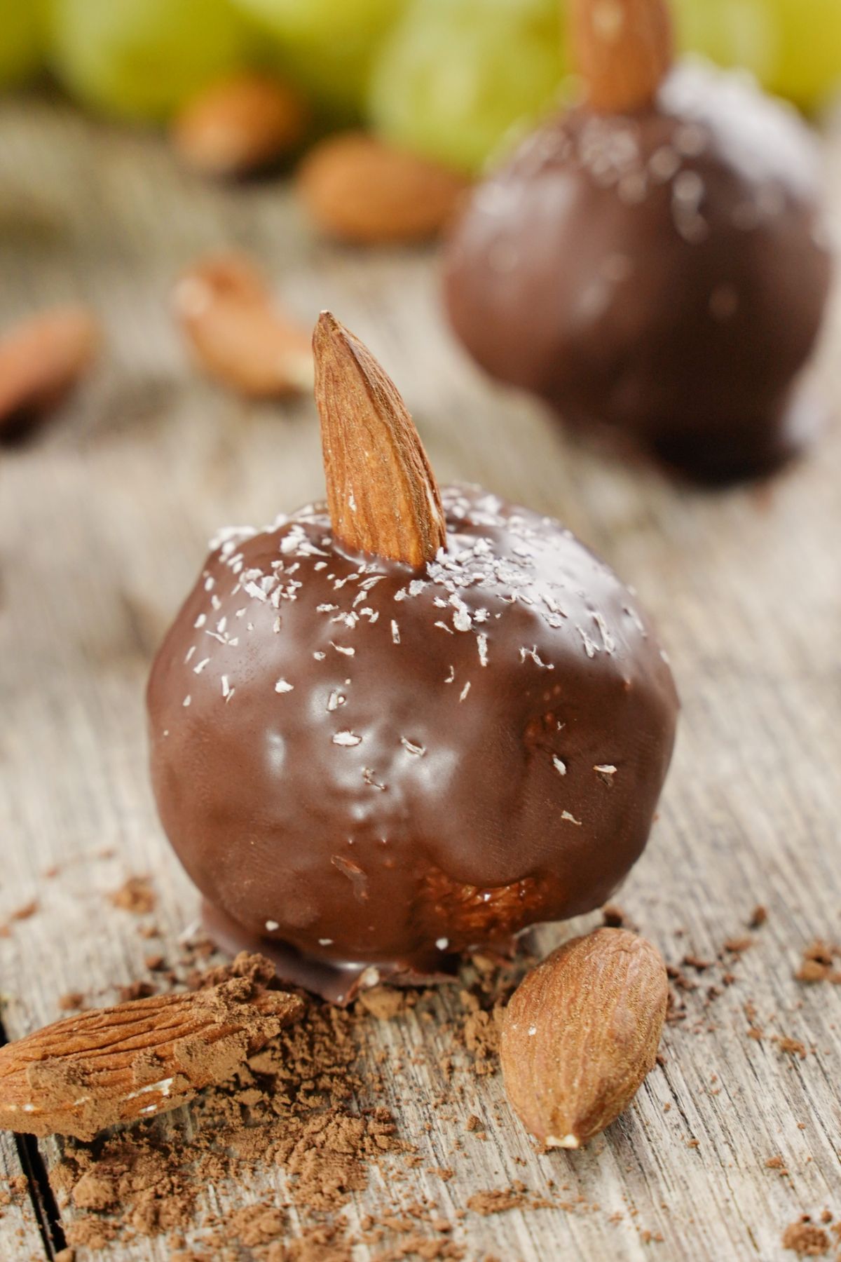 Zoom image of Chocolate Coconut Almond Balls