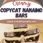 Copycat Nanaimo Bars PIN (1)