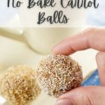 No Bake Carrot Balls PIN (2)