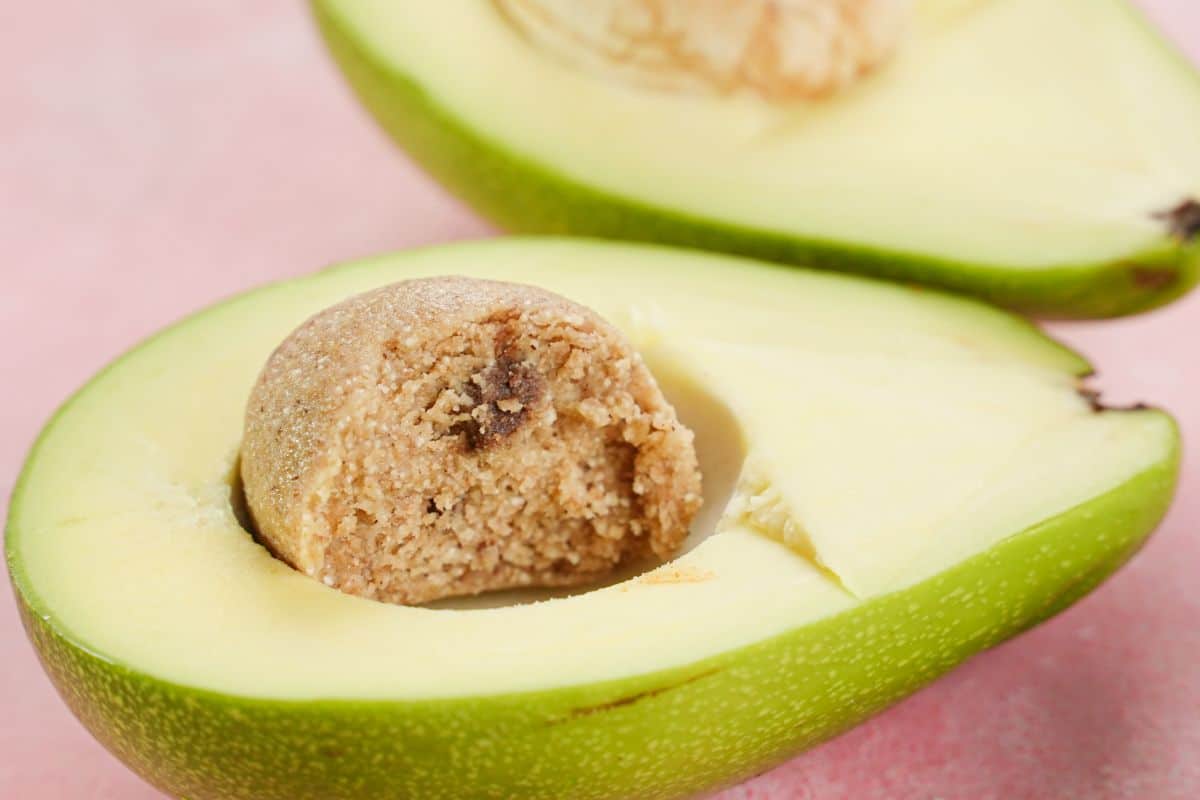 No Bake Chocolate Chip Energy Bites in avocado