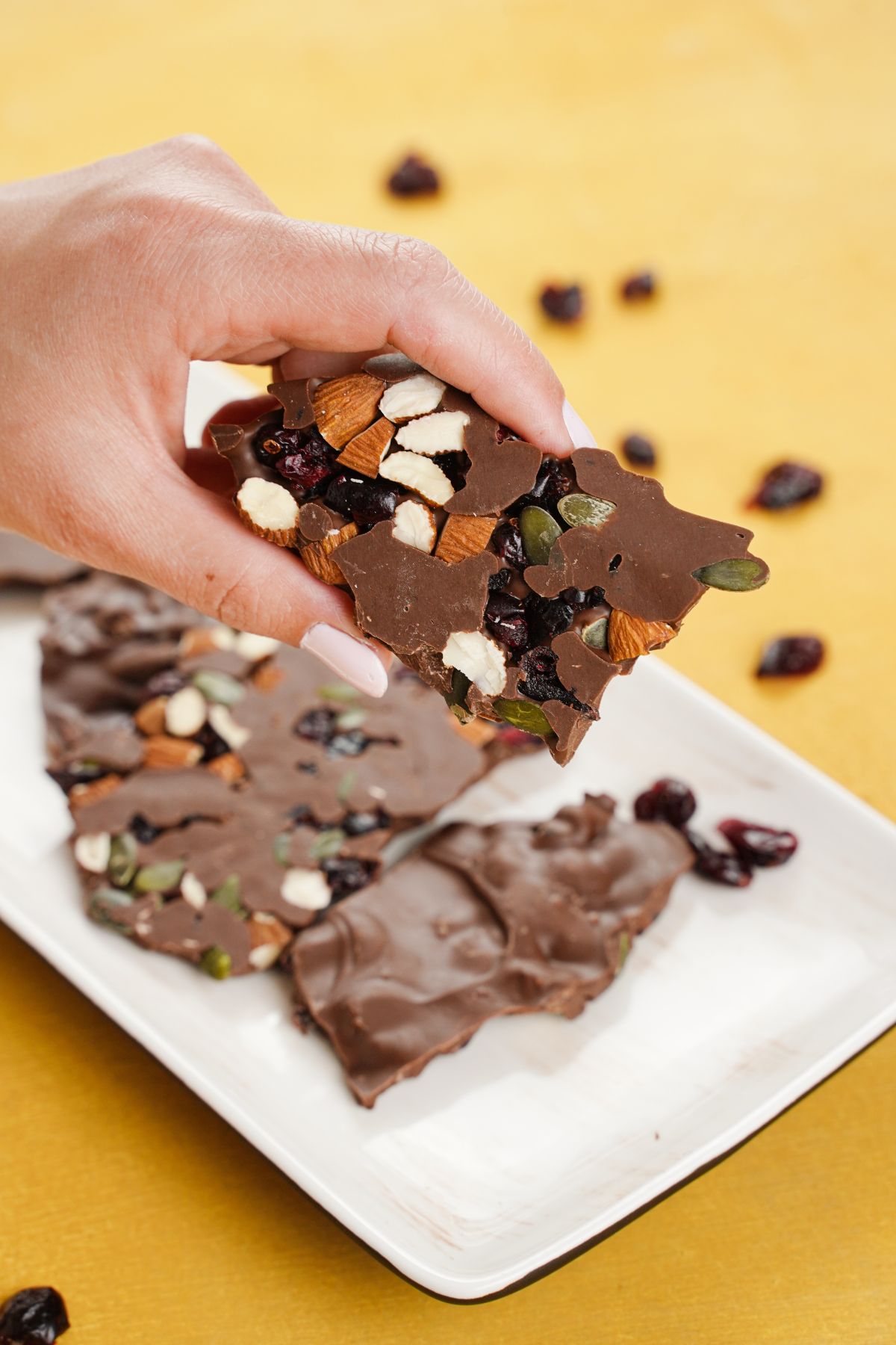 A piece of Nut and Seed Chocolate Bark in hand
