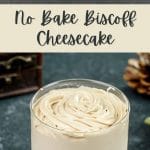No Bake Biscoff Cheesecake PIN (2)