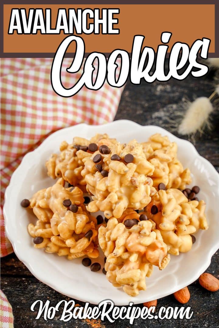 NoBake Avalanche Cookies A Delicious and Easy NoBake Cookie Recipe