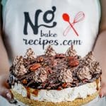 side view of no bake turtle cheesecake