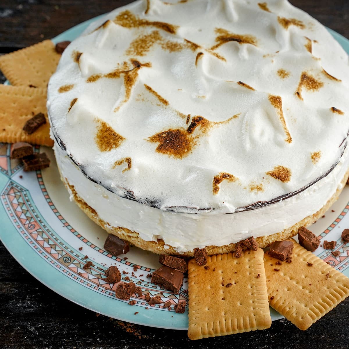 overhead view of s'mores topped cheesecake no-bake recipe