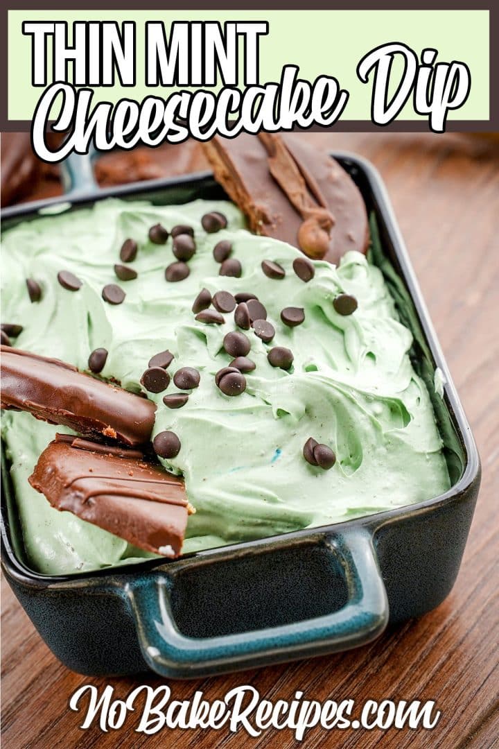 Easy and Fun Thin Mint Cheesecake Dip NoBake Dessert Dip NoBake