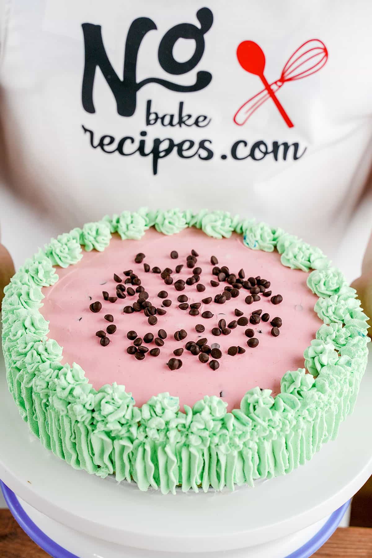 full view of decorated Watermelon Cheesecake.
